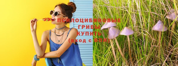 альфа пвп Абаза