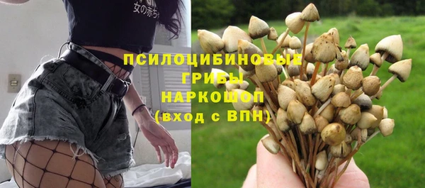 apvp Абинск