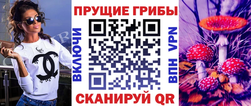 Псилоцибиновые грибы Psilocybe  Шимановск 
